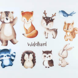 DTF Bügelbilder D8 - Tigerlilly EP - Waldkind (ca. 19,5 x 26cm)