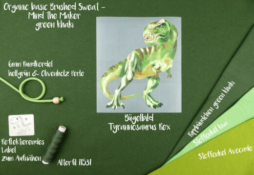 DTF Bügelbild H13 - Tyrannosaurus Rex (ca. 18 x 15,5cm)