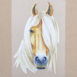 DTF Bügelbild I3 - Tigerlilly EP - Haflinger (ca. 16 x 10cm)