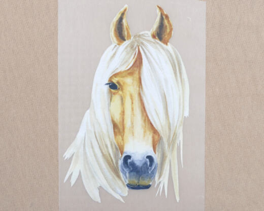 DTF Bügelbild I3 - Haflinger (ca. 16 x 10cm)