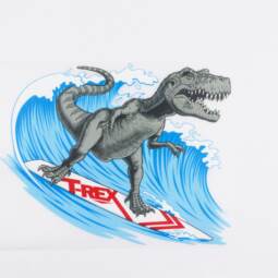 DTF Bügelbild G13 - Tigerlilly EP - Surf Rex (ca. 14 x 18,5cm)