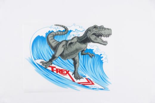 DTF Bügelbild G13 - Tigerlilly EP - Surf Rex (ca. 14 x 18,5cm)