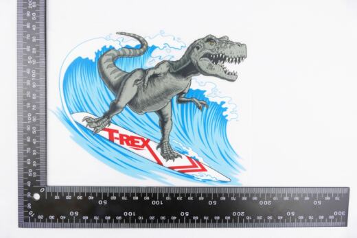 DTF Bügelbild G13 - Tigerlilly EP - Surf Rex (ca. 14 x 18,5cm)