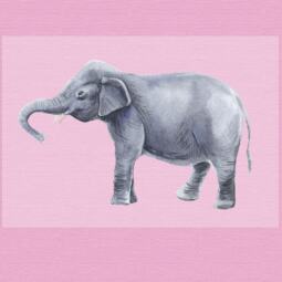 DTF Bügelbild I4 - Tigerlilly EP - Elefant (ca. 16 x 10,5cm) – Bild 3