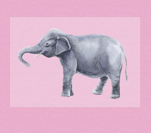 DTF Bügelbild I4 - Tigerlilly EP - Elefant (ca. 16 x 10,5cm)