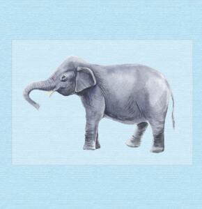 DTF Bügelbild I4 - Elefant (ca. 16 x 10,5cm)