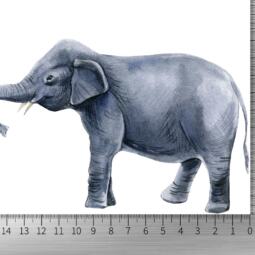 DTF Bügelbild I4 - Tigerlilly EP - Elefant (ca. 16 x 10,5cm) – Bild 2