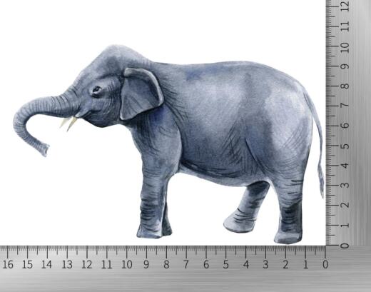 DTF Bügelbild I4 - Tigerlilly EP - Elefant (ca. 16 x 10,5cm)