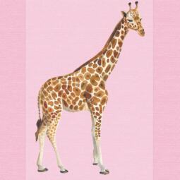 DTF Bügelbild I8 - Giraffe (ca. 18 x 11,5cm) – Bild 2