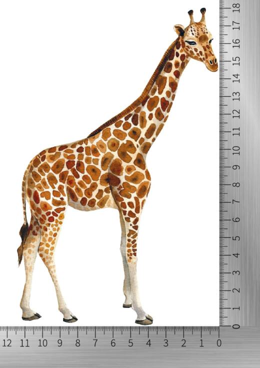 DTF Bügelbild I8 - Giraffe (ca. 18 x 11,5cm)