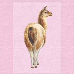 DTF Bügelbild I7 - Lama ( ca. 6,5 x 13,5cm) – Bild 3