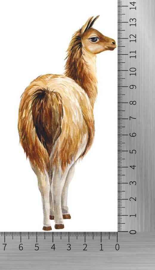 DTF Bügelbild I7 - Lama ( ca. 6,5 x 13,5cm)