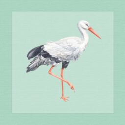 DTF Bügelbild I5 - Storch (ca. 14 x 14,5cm) – Bild 4