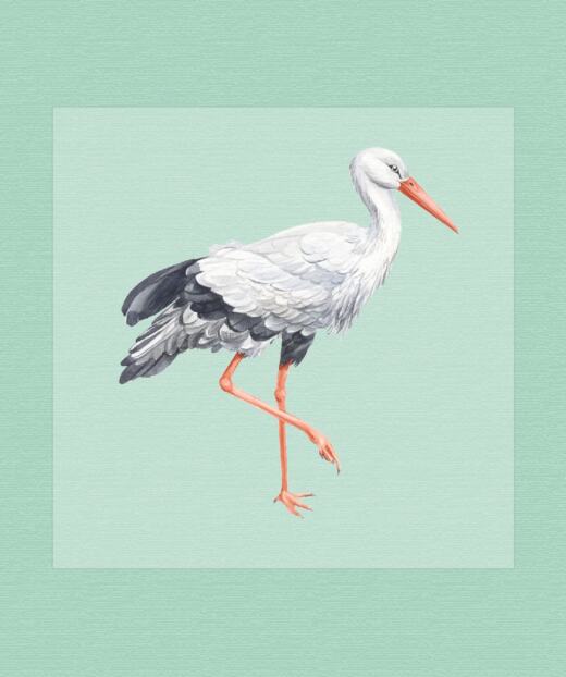 DTF Bügelbild I5 - Storch (ca. 14 x 14,5cm)
