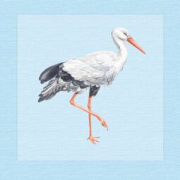 DTF Bügelbild I5 - Storch (ca. 14 x 14,5cm) – Bild 5