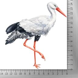 DTF Bügelbild I5 - Storch (ca. 14 x 14,5cm) – Bild 3
