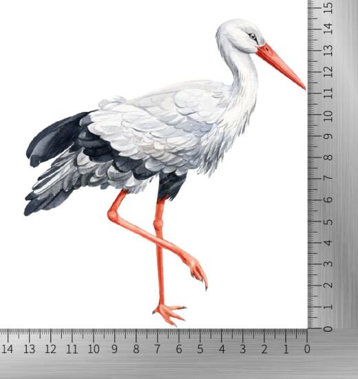 DTF Bügelbild I5 - Storch (ca. 14 x 14,5cm)