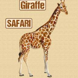 DTF Bügelbild I8 - Tigerlilly EP - Giraffe (ca. 18 x 11,5cm)
