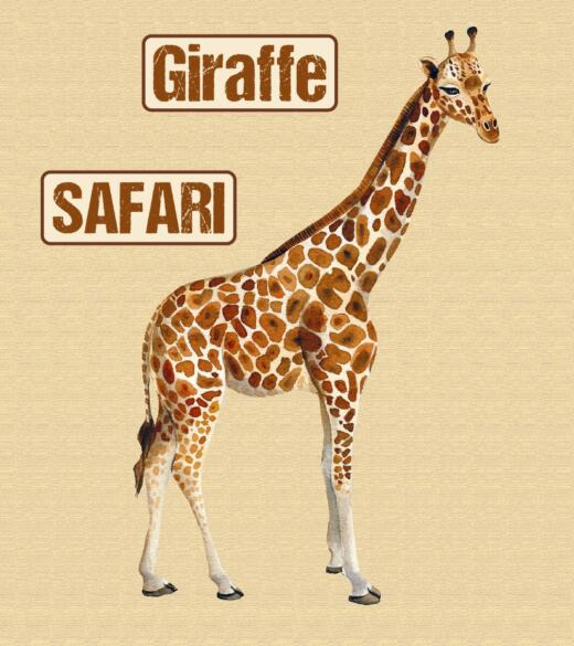 DTF Bügelbild I8 - Giraffe (ca. 18 x 11,5cm)