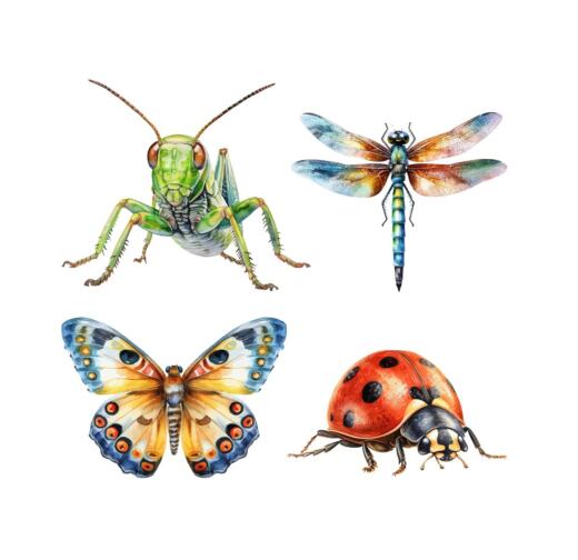 DTF Bügelbilder J20 - 4 Insekten Set (mittelgroß / ca. 8 x 27,5cm)