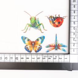 DTF Bügelbilder K30 - 4 Insekten Set - klein (ca. 8x9cm) – Bild 2