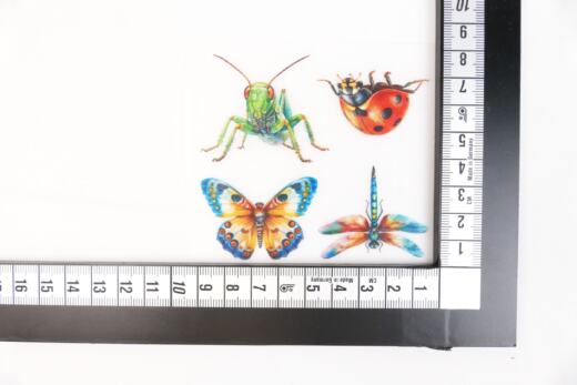DTF Bügelbilder K30 - 4 Insekten Set - klein (ca. 8x9cm)