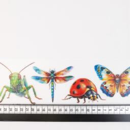 DTF Bügelbilder J20 - 4 Insekten Set (mittelgroß / ca. 8 x 27,5cm) – Bild 2