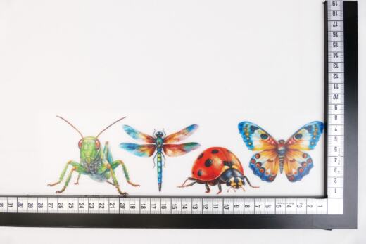 DTF Bügelbilder J20 - 4 Insekten Set (mittelgroß / ca. 8 x 27,5cm)