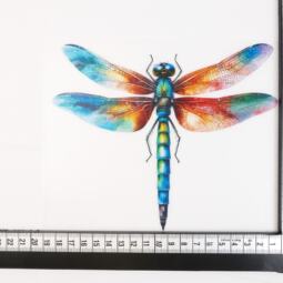DTF Bügelbild J18 - Tigerlilly EP - Libelle (ca. 15 x 18cm) – Bild 2