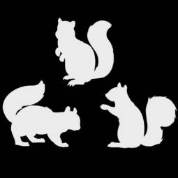 Bügelbilder K1 - silber reflektierend - Eichhörnchen (ca. 20,5 x 9cm)