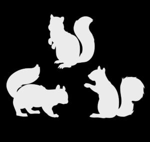 Bügelbilder K1 - silber reflektierend - Eichhörnchen (ca. 20,5 x 9cm)