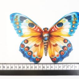 DTF Bügelbild J19 - Schmetterling (ca. 13 x 18cm) – Bild 2