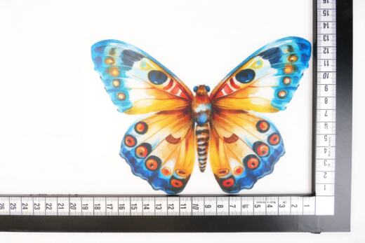 DTF Bügelbild J19 - Schmetterling (ca. 13 x 18cm)