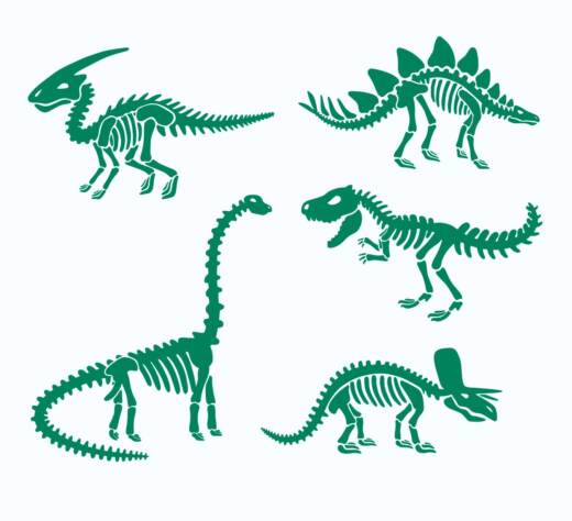 Bügelbild - fünf Dinosaurier Skelette (ca. 35 x 43cm) - Folienauswahl