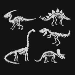 Bügelbild - fünf Dinosaurier Skelette (ca. 35 x 43cm) - Folienauswahl – Bild 61