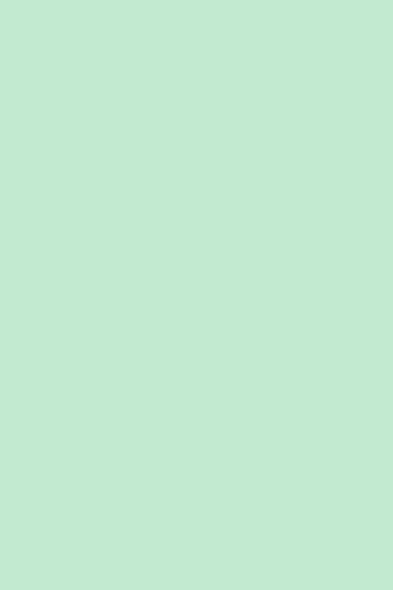 eSRV 3mm hellmint(201)