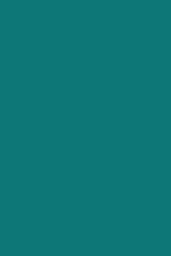 eSRV 3mm petrol(275)