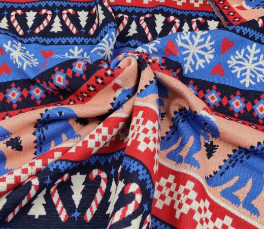 Bio Jacquardjersey - Albstoffe (Hamburger Liebe) - Knitty Rexmas rot/blau