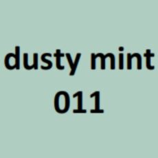 Modaljersey - Emilia - dusty mint 011