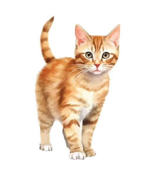 DTF Bügelbild E20 - Tigerlilly EP - Katze rot getigert (17,5 x 10,5cm)