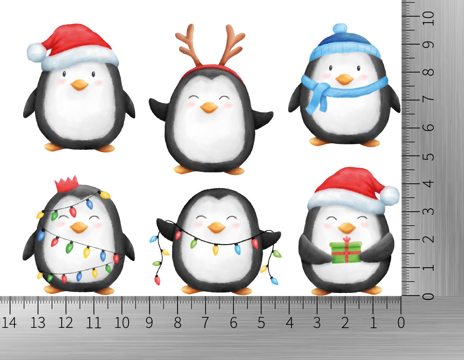 Pinguin MINI Set Lineal