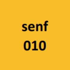 Modaljersey - Emilia - senf 010