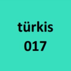 Modaljersey - Emilia - türkis 017