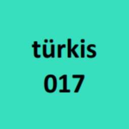 Modaljersey - Emilia - türkis 017
