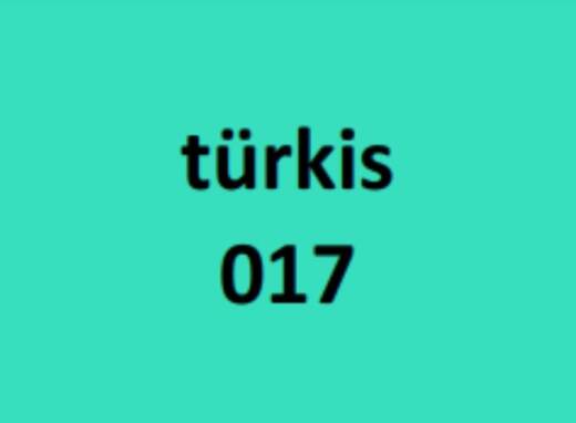 Modaljersey - Emilia - türkis 017