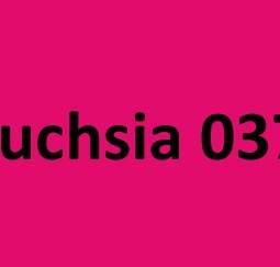 Rundkordel 8mm - verschiedene Farben - fuchsia 037