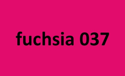 fuchsia 037