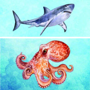 Biojersey - Tigerlilly - Meerestreiben Hai & Oktopus (Panel 75cm)