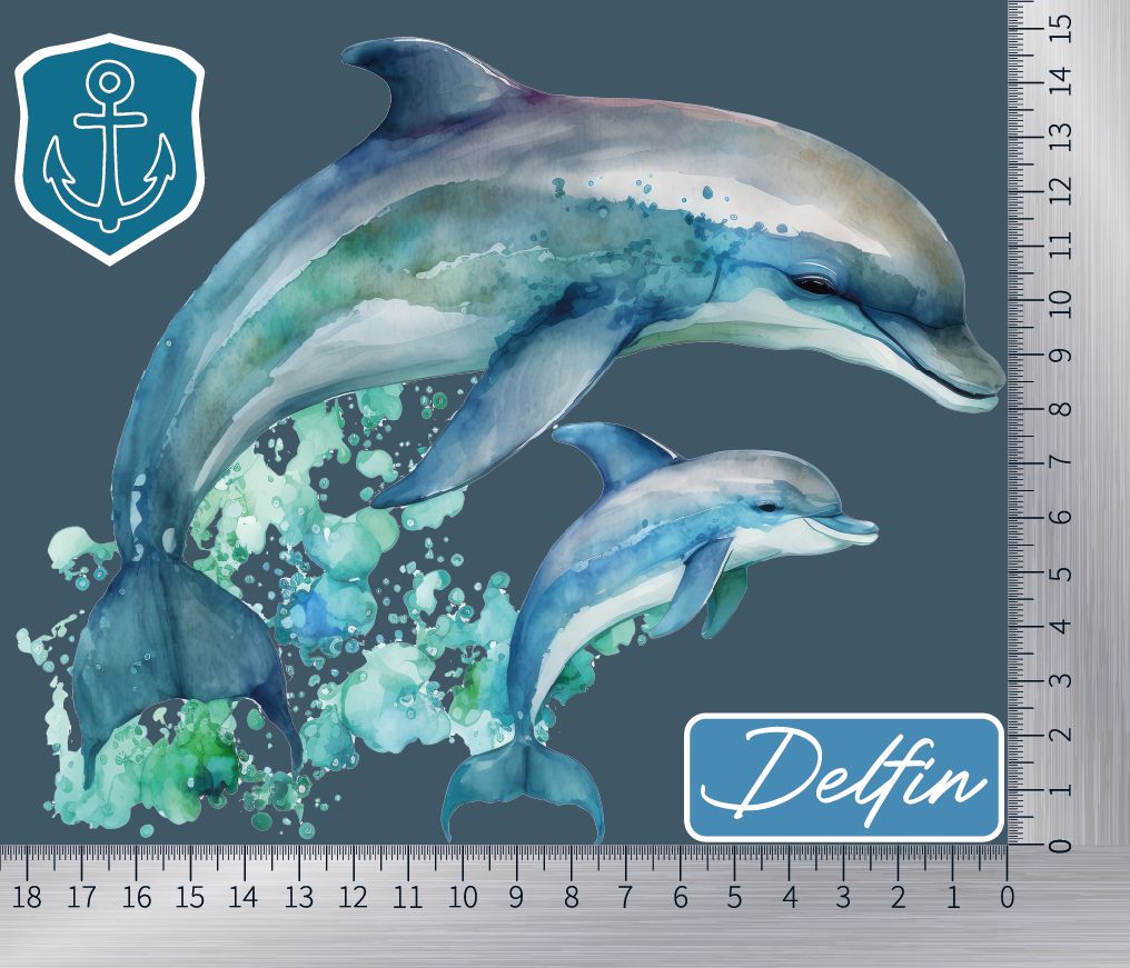 Delfin mit Lineal