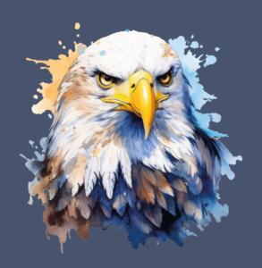 DTF Bügelbild K26 - Weißkopfseeadler (ca. 13 x 14cm)